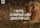 World wildlife day - március 3